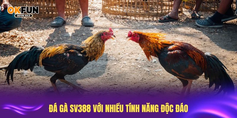 Khám phá đá gà SV388 với nhiều tính năng độc đáo