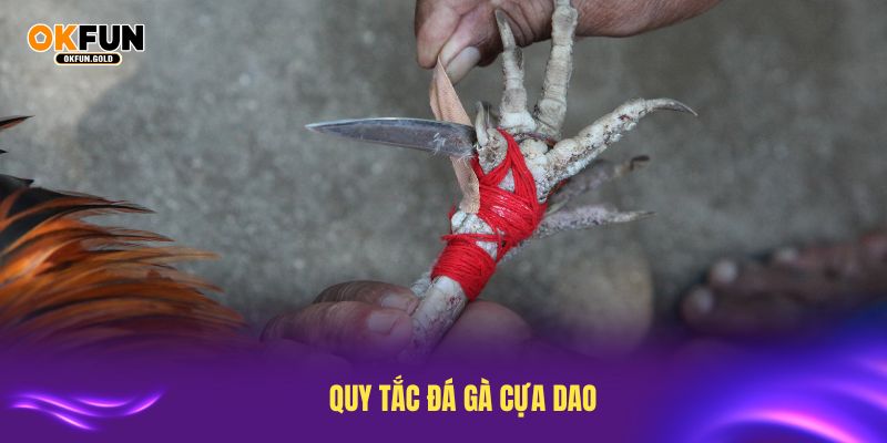 Những quy tắc đá gà cựa dao giúp đảm bảo công bằng cho người chơi